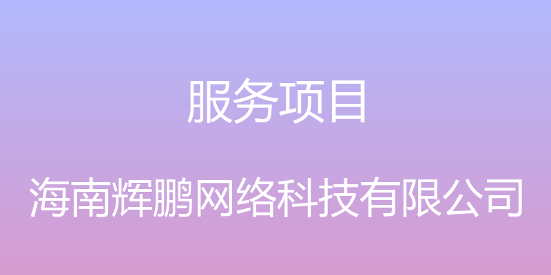 服务项目 - 海南辉鹏网络科技有限公司