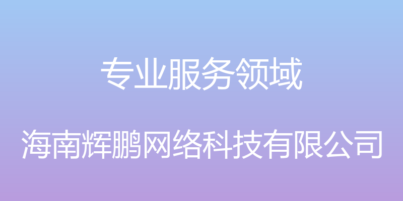 专业服务领域 - 海南辉鹏网络科技有限公司